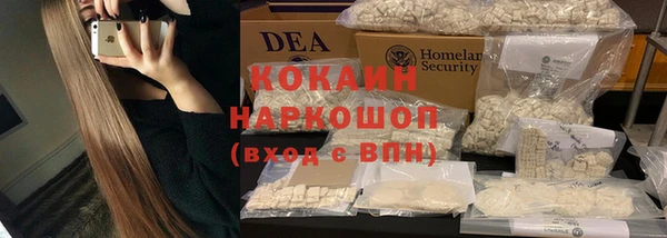 индика Белокуриха