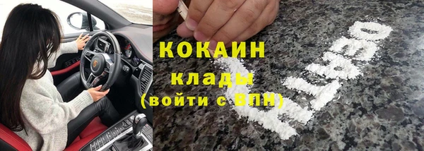 индика Белокуриха