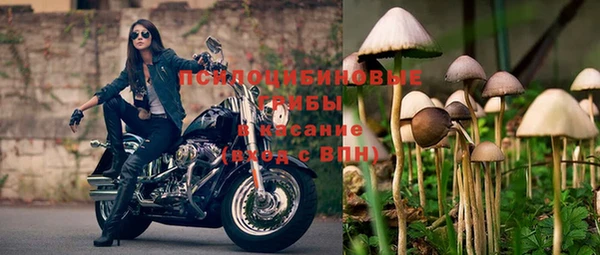 винт Белоозёрский