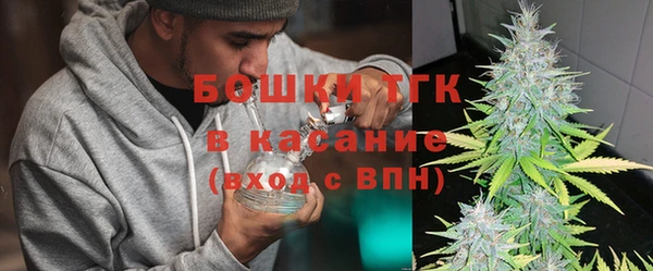 индика Белокуриха