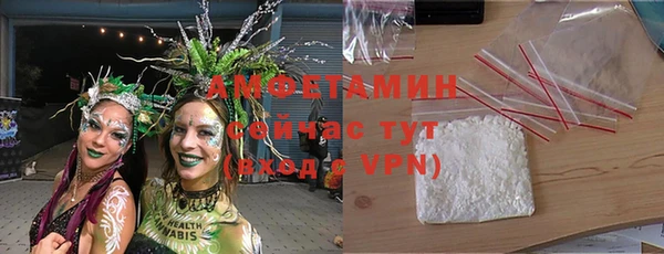 индика Белокуриха