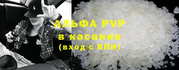 индика Белокуриха