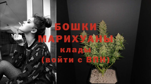 индика Белокуриха