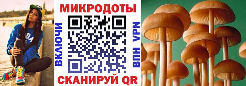 Галлюциногенные грибы мицелий  Курильск 
